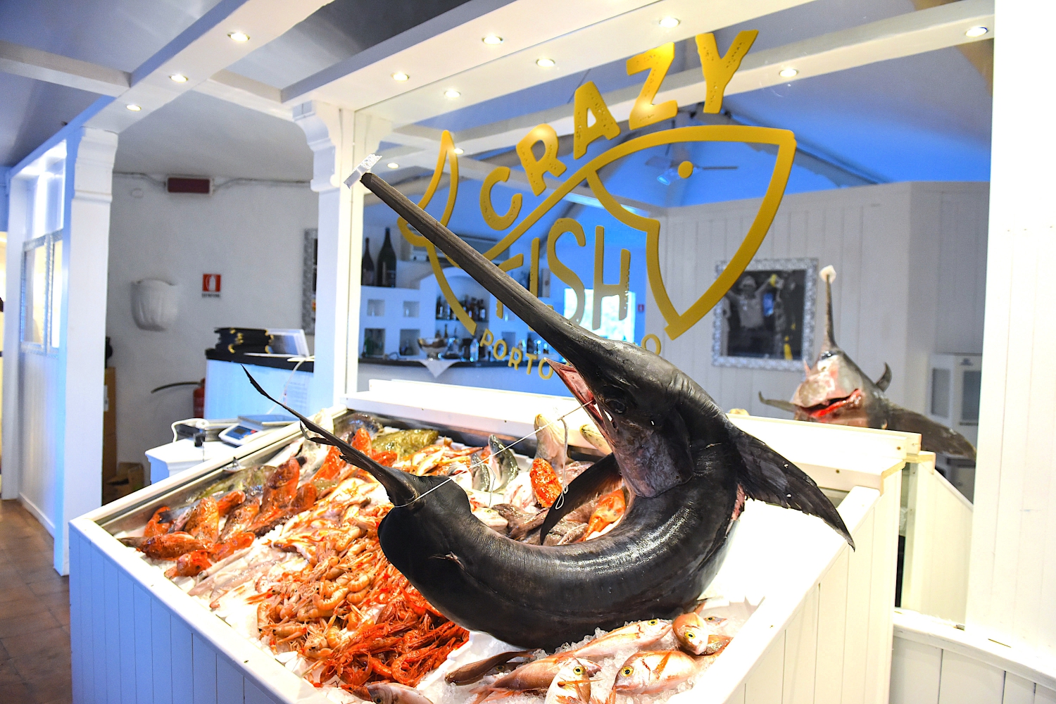 CRAZY FISH Sardinia | The V1 Club | The V1 Club